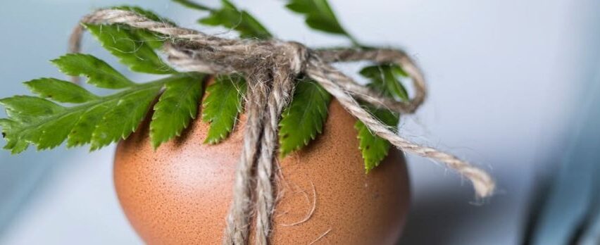 Pasqua