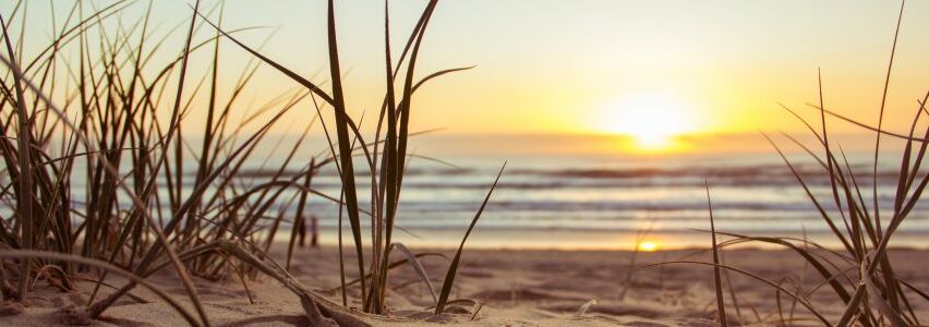 beach.golden.hour.grass.1192671 beach.golden.hour.grass.1192671